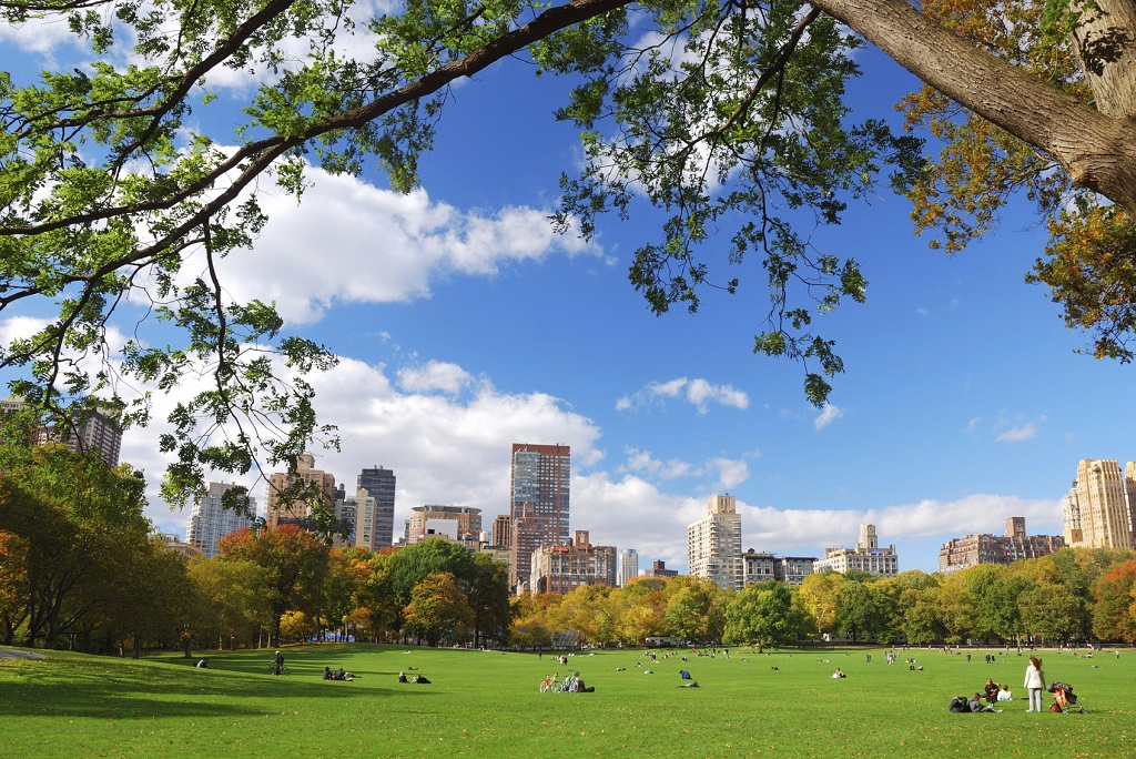 central park, nyc