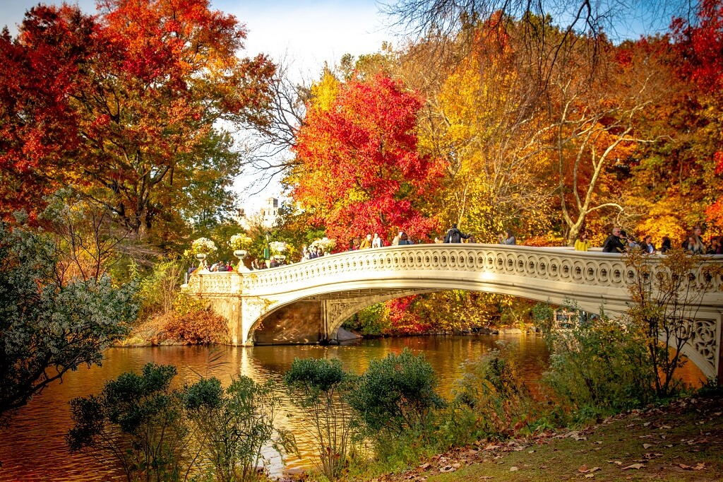 central-park-bow-bridge