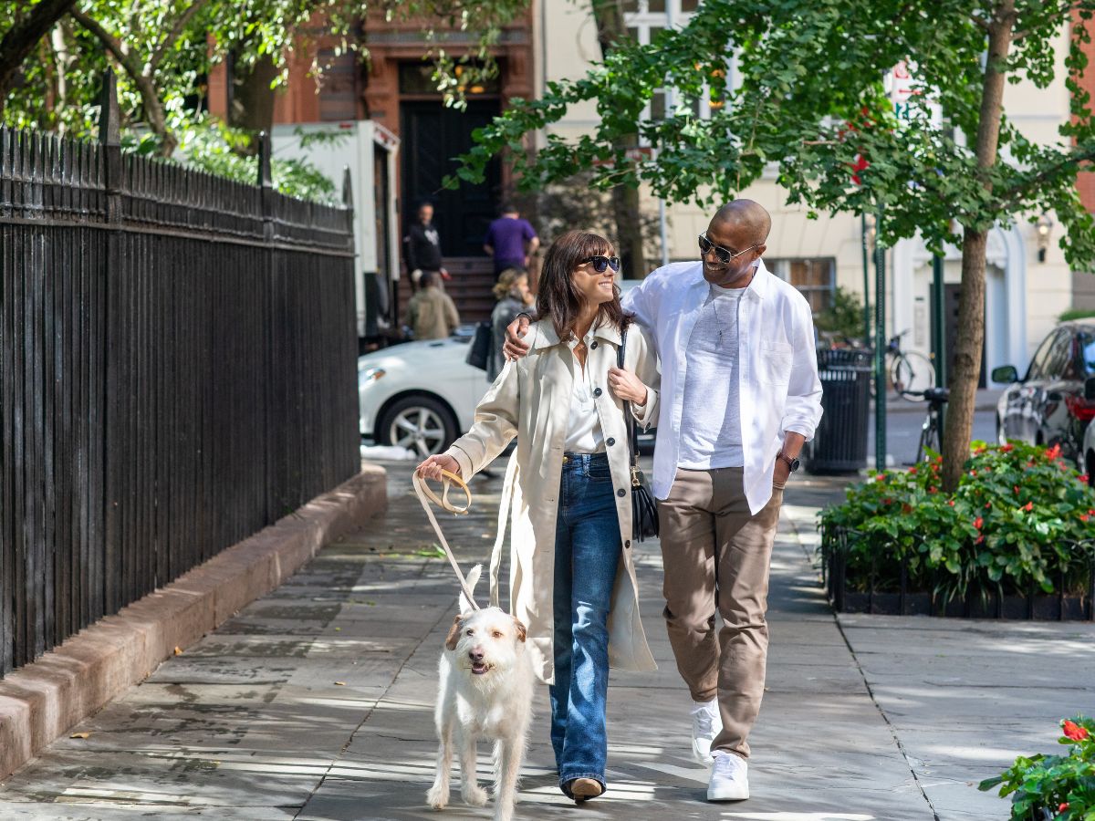 Traveling With Pets And Finding A Pet Friendly Short Term Rental Traveling With Pets And Finding A Pet Friendly Short Term Rental